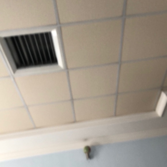 Meet your Posher, Sana - Picture 1 of 1